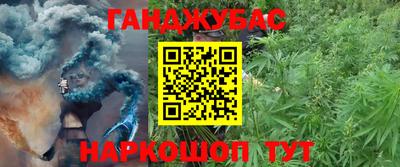 spice Новодвинск