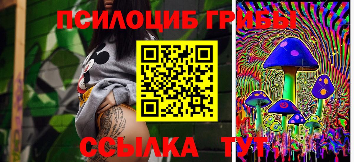 Галлюциногенные грибы прущие грибы Ртищево